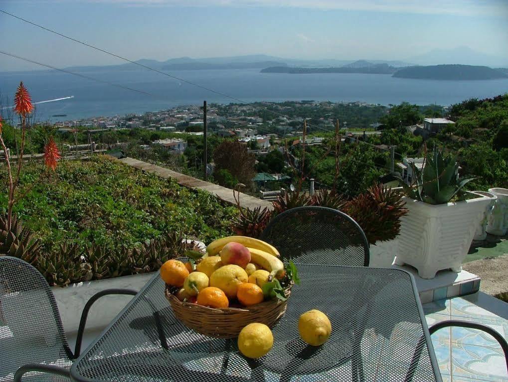 Villa Rosalia Ischia Buitenkant foto